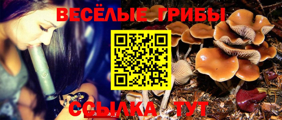 Псилоцибиновые грибы MAGIC MUSHROOMS  Галлюциногенные грибы мицелий  Скопин  Вход с VPN 